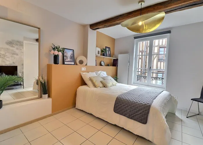 Le Petit Vauluisant - Cosy & Confort - Mon Groom Appartamento Troyes