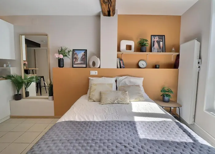 Le Petit Vauluisant - Cosy & Confort - Mon Groom *