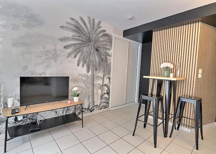 Le Petit Vauluisant - Cosy & Confort - Mon Groom Appartamento Troyes